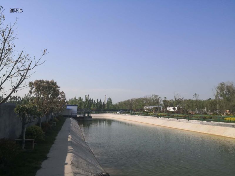 La Chine Shandong Xingshun New Material Co., Ltd. Profil de l'entreprise 